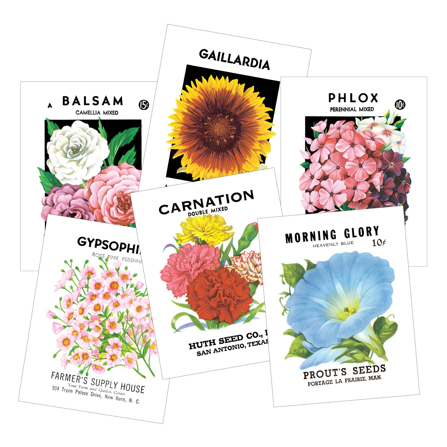 Vintage Seed Packet Postcards - Pack of 12 – Idea Chíc